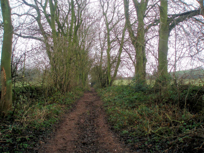 Jacksons Lane Jacksons Lane